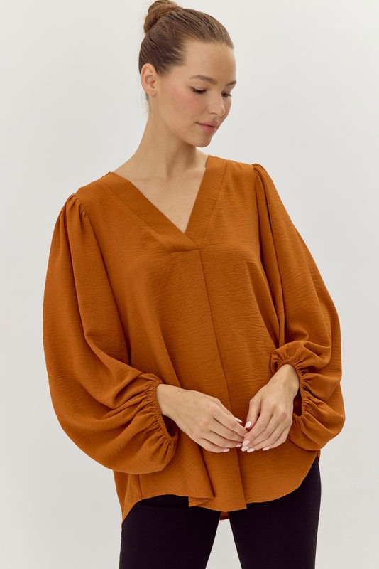 Long Draped Sleeves Top - Toffee