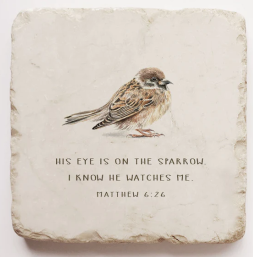 Bird-Matthew 6:26 Magnet