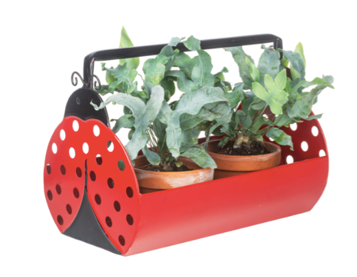 05728 Ladybug Trough Planter